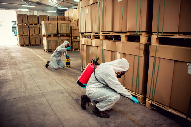 Best Cockroach Control Services  in Shenandoah Heights, PA