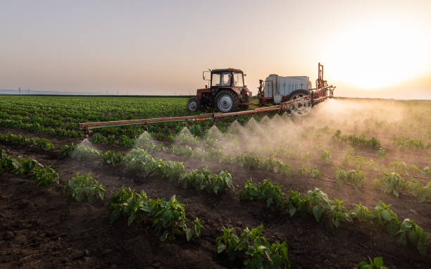 Best Commercial Pest Control Services  in Shenandoah Heights, PA