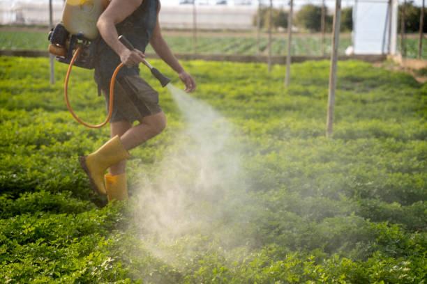 Best Local Pest Control Services  in Shenandoah Heights, PA