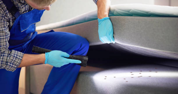 Best Mosquito Control Services  in Shenandoah Heights, PA