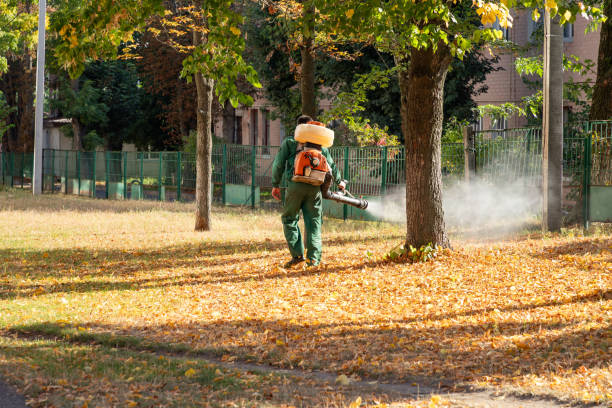 Best Best Pest Control Companies  in Shenandoah Heights, PA