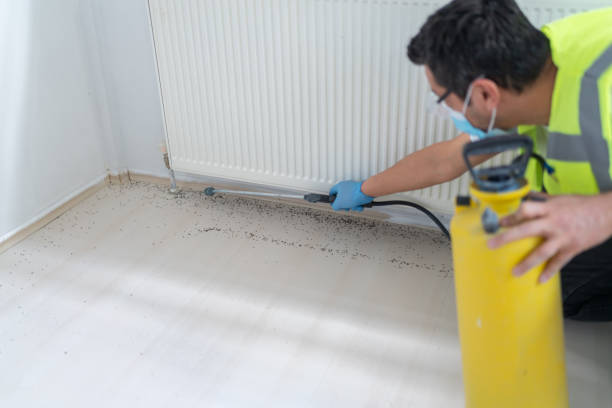 Best Ant Control Services  in Shenandoah Heights, PA
